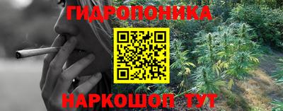 PSILOCYBIN Бугуруслан