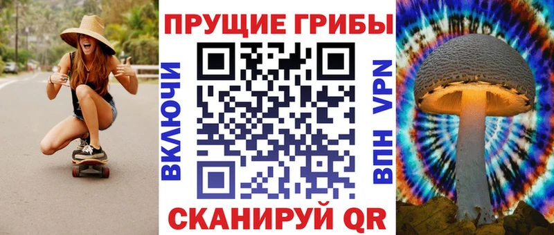 Псилоцибиновые грибы Psilocybe  кракен сайт  Екатеринбург 
