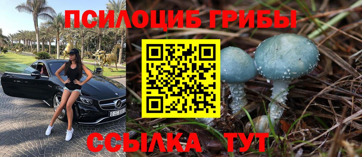 Галлюциногенные грибы мицелий Екатеринбург