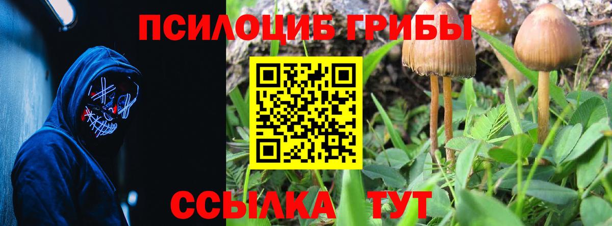 Псилоцибиновые грибы Magic Shrooms  Галлюциногенные грибы ЛСД  Екатеринбург 